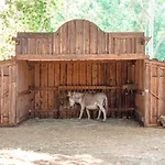Ds One Vacances, Prairies De La Campingplads Grimaud