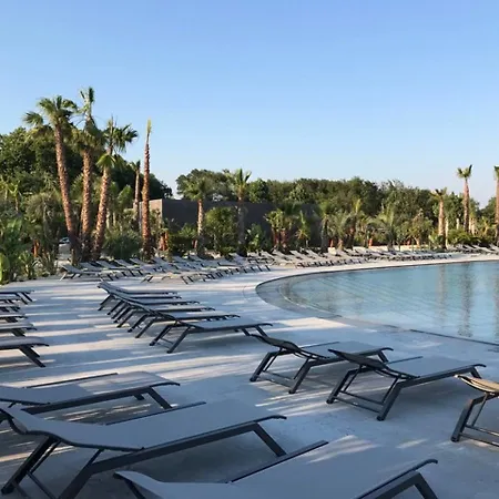 Ds One Vacances, Prairies De La