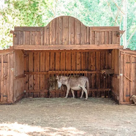 Ds One Vacances, Prairies De La Camping Grimaud