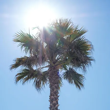 Ds One Vacances, Prairies De La Kamp alanı 5*