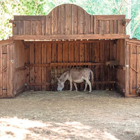 Ds One Vacances, Prairies De La Camping 5*